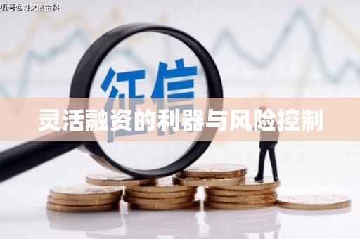 洛川灵活融资的利器与风险控制