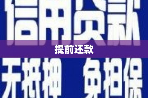 洛川提前还款