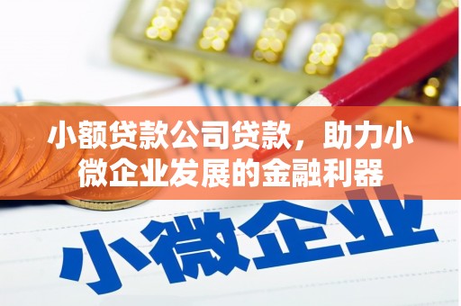 洛川小额贷款公司贷款，助力小微企业发展的金融利器
