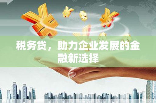 洛川税务贷，助力企业发展的金融新选择