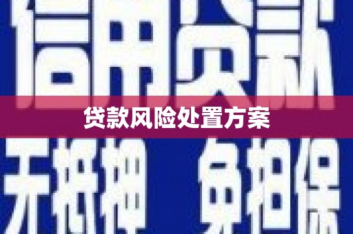 洛川贷款风险处置方案