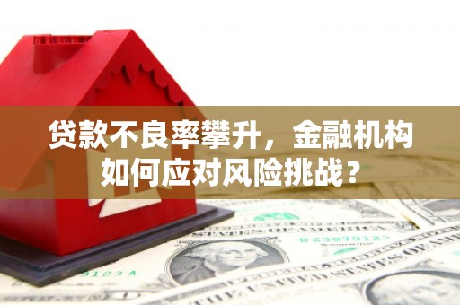 洛川贷款不良率攀升，金融机构如何应对风险挑战？