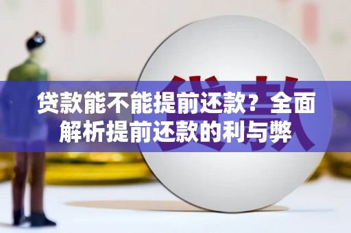 洛川贷款能不能提前还款？全面解析提前还款的利与弊