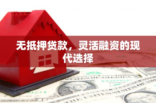 洛川无抵押贷款，灵活融资的现代选择