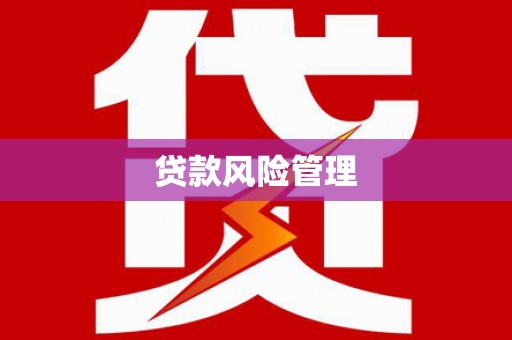 洛川贷款风险管理