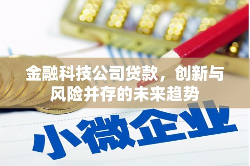 洛川金融科技公司贷款，创新与风险并存的未来趋势
