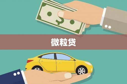洛川微粒贷