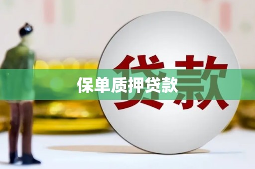 洛川保单质押贷款