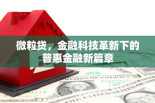 洛川微粒贷，金融科技革新下的普惠金融新篇章