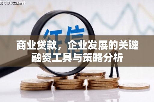 洛川商业贷款，企业发展的关键融资工具与策略分析