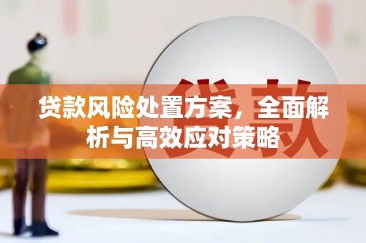 洛川贷款风险处置方案，全面解析与高效应对策略