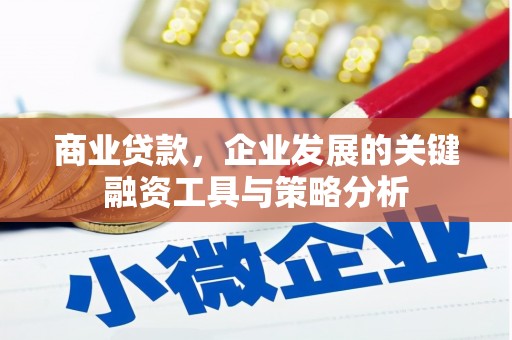 洛川商业贷款，企业发展的关键融资工具与策略分析