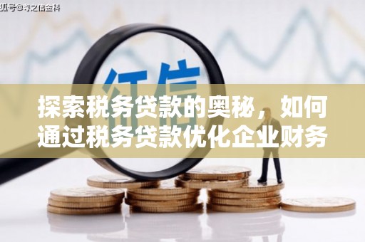 洛川探索税务贷款的奥秘，如何通过税务贷款优化企业财务