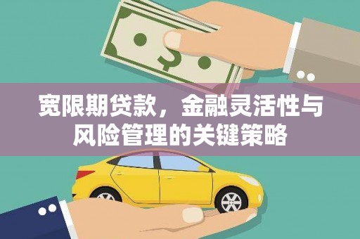 洛川宽限期贷款，金融灵活性与风险管理的关键策略