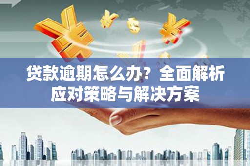 洛川贷款逾期怎么办？全面解析应对策略与解决方案