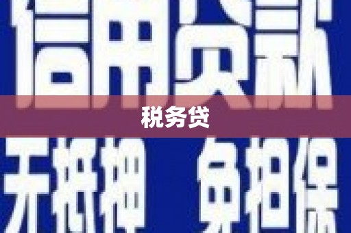 洛川税务贷