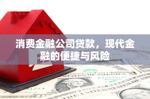 洛川消费金融公司贷款，现代金融的便捷与风险