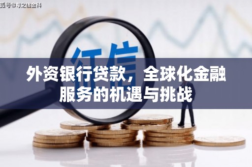 洛川外资银行贷款，全球化金融服务的机遇与挑战