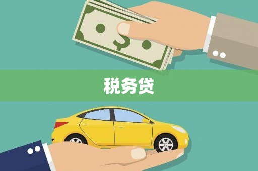 洛川税务贷
