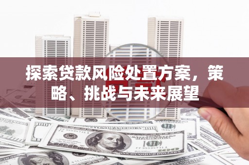 洛川探索贷款风险处置方案，策略、挑战与未来展望