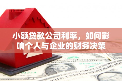 洛川小额贷款公司利率，如何影响个人与企业的财务决策