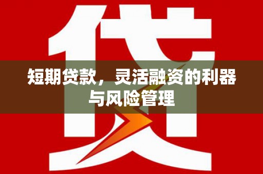 洛川短期贷款，灵活融资的利器与风险管理