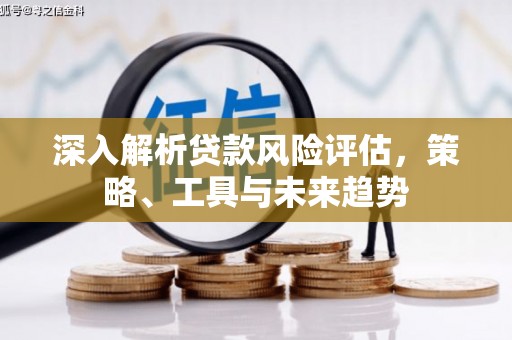 洛川深入解析贷款风险评估，策略、工具与未来趋势