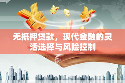 洛川无抵押贷款，现代金融的灵活选择与风险控制