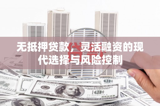 洛川无抵押贷款，灵活融资的现代选择与风险控制