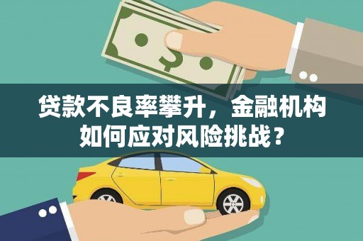 洛川贷款不良率攀升，金融机构如何应对风险挑战？