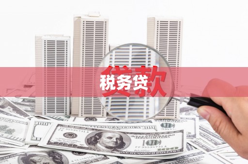 洛川税务贷