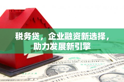 洛川税务贷，企业融资新选择，助力发展新引擎
