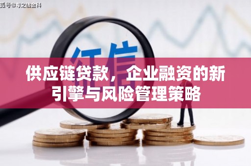 洛川供应链贷款，企业融资的新引擎与风险管理策略