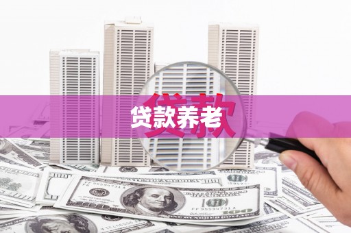 洛川贷款养老