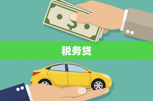 洛川税务贷