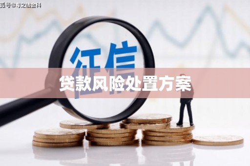 洛川贷款风险处置方案