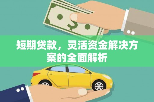 洛川短期贷款，灵活资金解决方案的全面解析