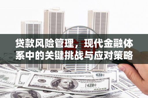洛川贷款风险管理，现代金融体系中的关键挑战与应对策略