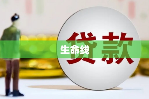 洛川生命线