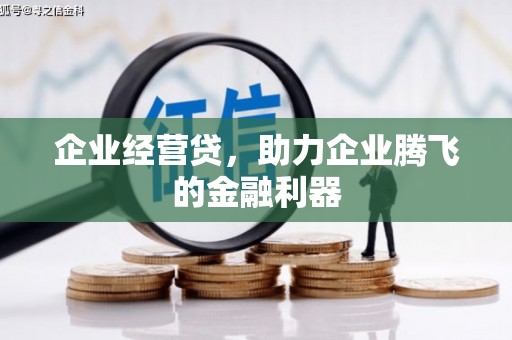 洛川企业经营贷，助力企业腾飞的金融利器