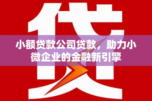 洛川小额贷款公司贷款，助力小微企业的金融新引擎