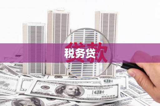 洛川税务贷