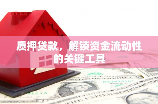 洛川质押贷款，解锁资金流动性的关键工具