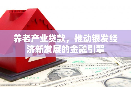 洛川养老产业贷款，推动银发经济新发展的金融引擎