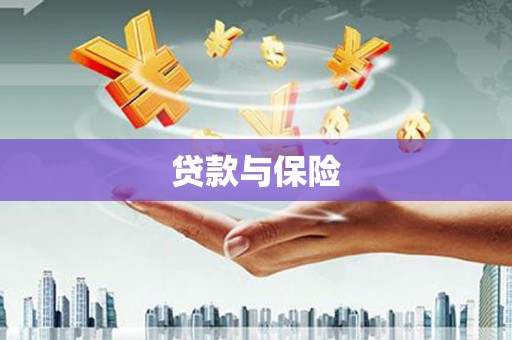 洛川贷款与保险