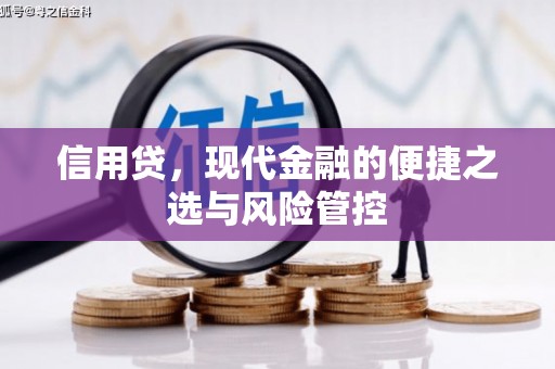 洛川信用贷，现代金融的便捷之选与风险管控