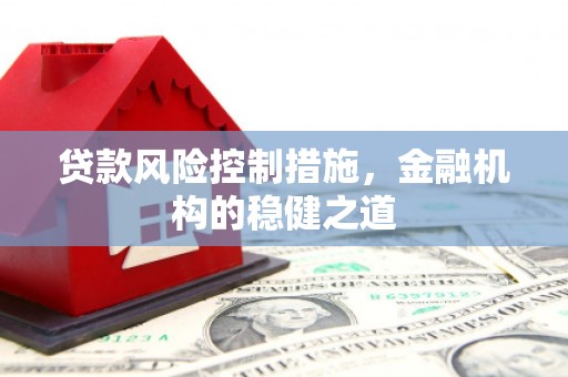 洛川贷款风险控制措施，金融机构的稳健之道