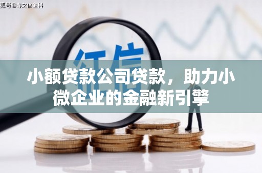 洛川小额贷款公司贷款，助力小微企业的金融新引擎