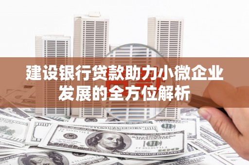 洛川建设银行贷款助力小微企业发展的全方位解析