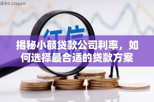 洛川揭秘小额贷款公司利率，如何选择最合适的贷款方案